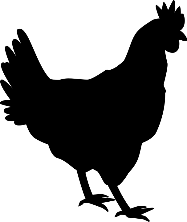 DRŮBEŽ